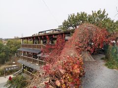 -乌托邦轰趴日租聚会别墅(先生的院子店)