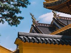 -江心屿景区