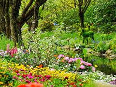 -上海共青森林公园