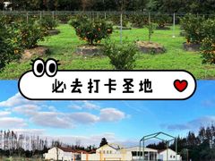 -前小桔亲子创意农场·草莓采摘·露营烧烤