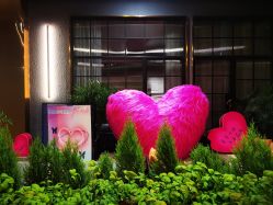 -花隐·美芙炫海菲秀皮肤管理中心