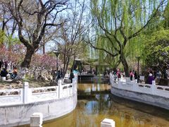 -桃花堤公园