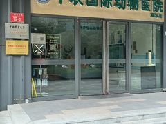 -中农国际动物医院24小时·猫科·骨科·急重症中心