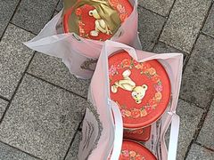 -珍妮曲奇聪明小熊(尖沙咀店)