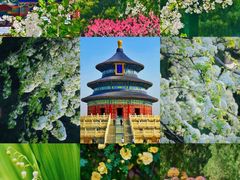 -天坛公园
