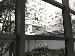 -上海中医药大学附属曙光医院(东部)