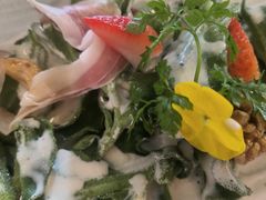 -haxnbauer海森堡德国餐厅(深圳coco店)