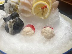 -鲐赏河豚(长寿店)