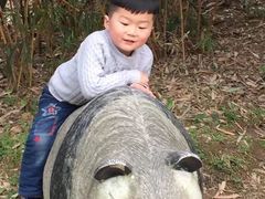 -堤角公园