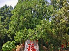 -潭柘寺景区