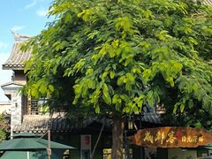 -元谋土林景区(物茂土林)
