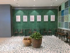 -百年果林椰子鸡(中洲店)