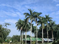 -侯臣咖啡文化村