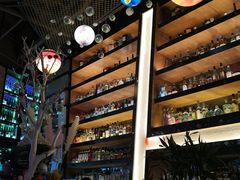 大堂-Famous肥猫墨西哥音乐餐吧(五棵松华熙LIVE店)