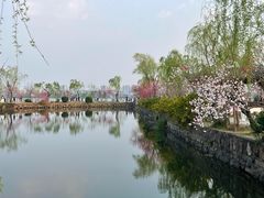 -无锡蠡湖国家湿地公园-蠡园