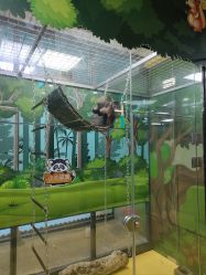 -未来动物城动物主题公园(大悦城店)