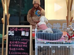 -佛山京华广场MALL