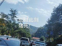 -西双版纳原始森林公园