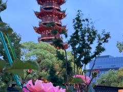 -龙华寺