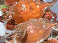 -威海渔村(黄兴路店)