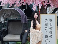 -武汉知音号