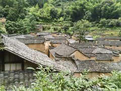 -杨家堂村