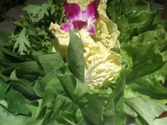 -川西坝子(老军营店)