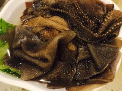 -朱氏胖子烂火锅(洪崖洞店)
