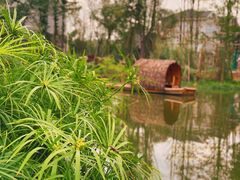 -桤木河湿地公园