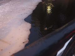 -滴血救世主教堂