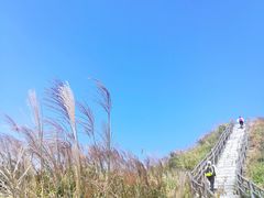 -银瓶嘴森林公园