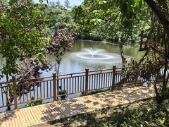 -重庆彩云湖湿地公园