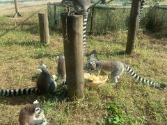 -石家庄市动物园