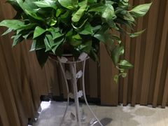 -东方红酒楼(知春路店)