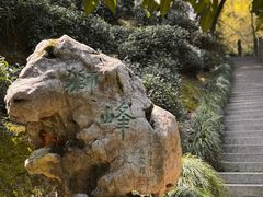 -十八棵（老龙井）御茶园(老龙井店)