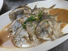 -味到1981日照海鲜·渔饺子