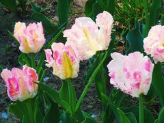 -北京植物园南门售票处