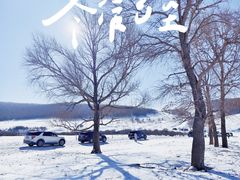 -丰宁坝上草原