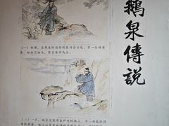 -靖西鹅泉风景区