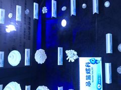 -贝壳梦幻世界
