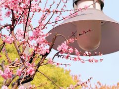 -静安雕塑公园