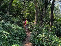 -番禺大夫山森林公园