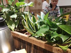 -庆合府重庆大排档(紫都城店)