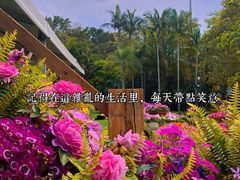 -深圳仙湖植物园