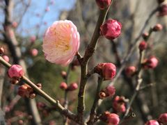 -太湖湖滨国家湿地公园-停车场