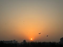 -汉长安城未央宫国家考古遗址公园