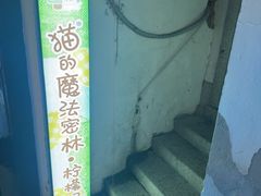 -猫的魔法密林(衣裳街店)