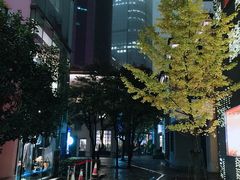 -徐家汇源景区-衡山坊