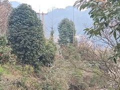 -樱桃山旅游景区