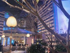 -桂满陇·海市蜃楼·黑金(国金店)